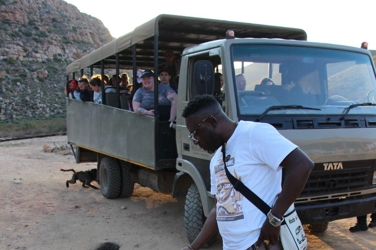 Cape Town Aquilla big sunset safari With transport & food aquila sunset bestseller