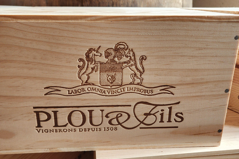 Loire Valley Wine Tour from Paris: 2 Wineries & 10 Tastings Premium Option