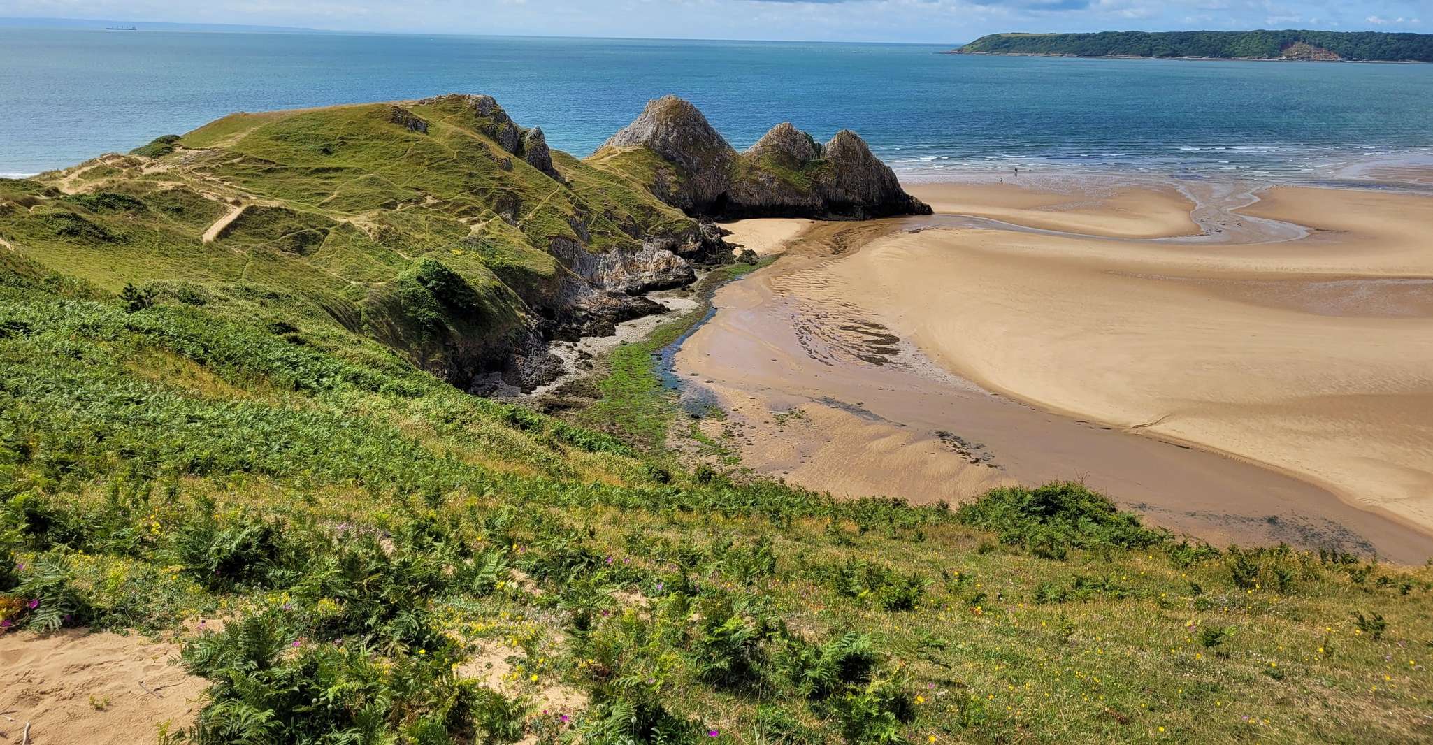 Desde Cardiff, la gira de Wandering Bard's Swansea Bay Day - Housity