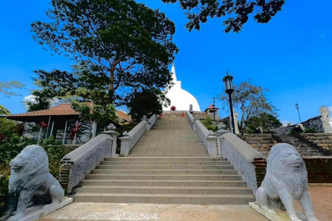 Kandy: Sandahirusaya Temple & Ceylon Tea Museum Tour