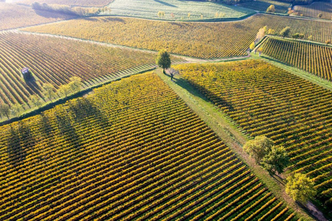 Milan: Lake Iseo & Franciacorta Wine Region with Cruise Tour in English With Cruise