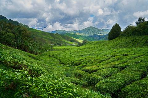 Sri Lanka: Excursão de 3 dias pela região das colinas