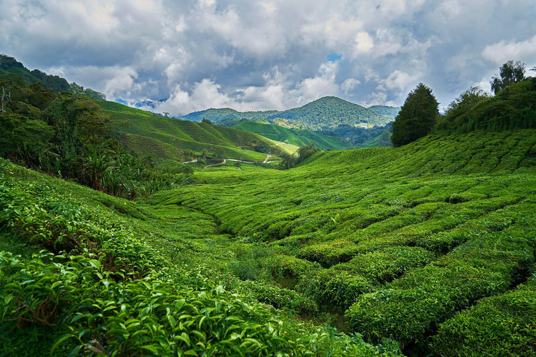 Sri Lanka: Hill Country 3-Day Tour