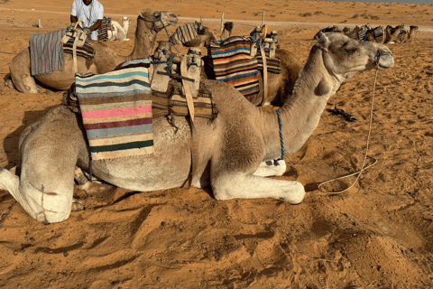 Ksar Ghilaine: Cena al atardecer y noche estrellada en el desierto