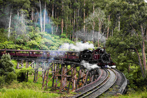 Melbourne: Tour di un giorno della ferrovia Puffing Billy e della parata dei pinguiniPacchetto impermeabile/parrucca