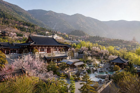 Xi'an: Huaqing Palace Ticket, Show & Guided Tour Options Full: Palace + Show Central Zone + Guide & Transfer
