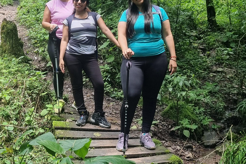 From Salta: Cerro Elefante "Trekking in the Yungas of Salta"