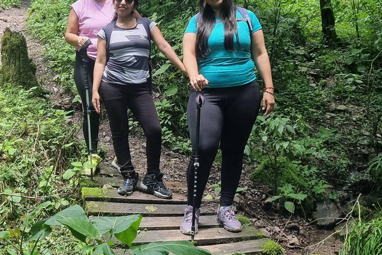 From Salta: Cerro Elefante "Trekking in the Yungas of Salta"