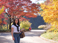 Tokyo tour privato personalizzato con guida locale - Hizvo