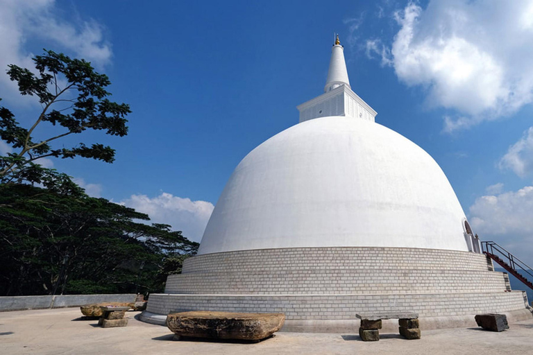 Kandy: Sandahirusaya Temple & Ceylon Tea Museum Tour