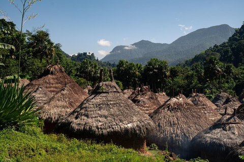 Santa Marta: 5-Day Lost City Trek with Indigenous Village