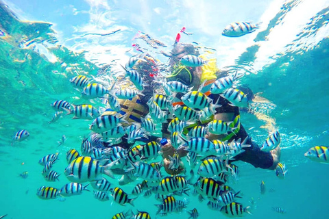 Exklusive Gili Nanggu, Sudak und Kedis Tour mit GoProPrivate Kleingruppen