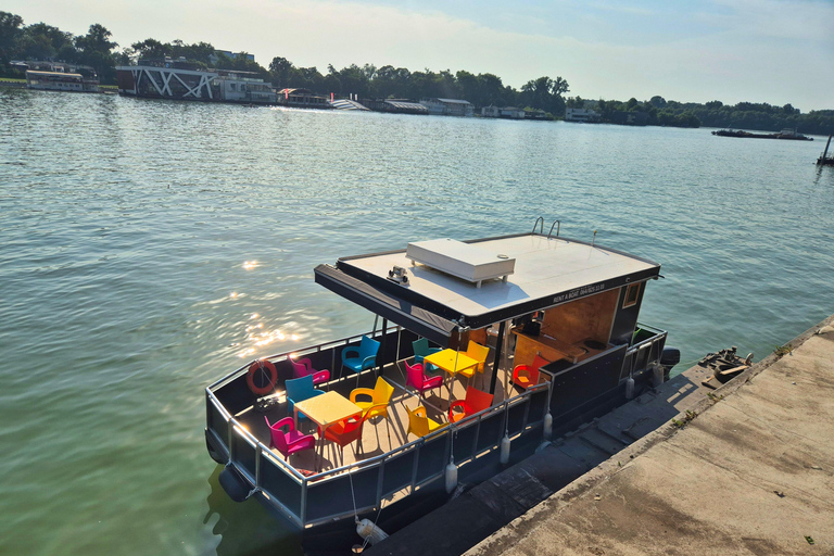 Belgrade: Catamaran Sightseeing Cruise Adventure