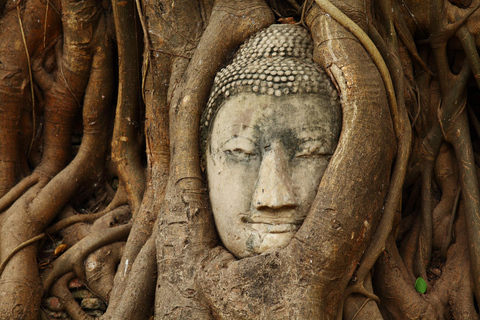 O patrimônio de Ayutthaya revelado: uma excursão de um dia saindo de Bangkok