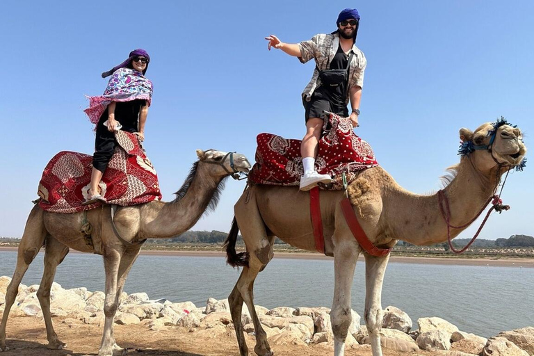 Agadir : Balade à dos de chameau près de la rivière Flamingo