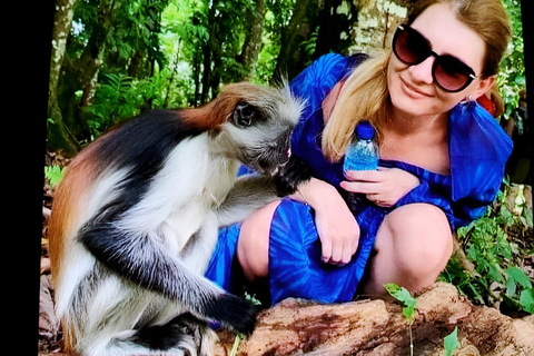 Sansibar: Steinstadt Tour und GefängnisinselSansibar: Stone Town, Prison Island, Nakupenda und Spice