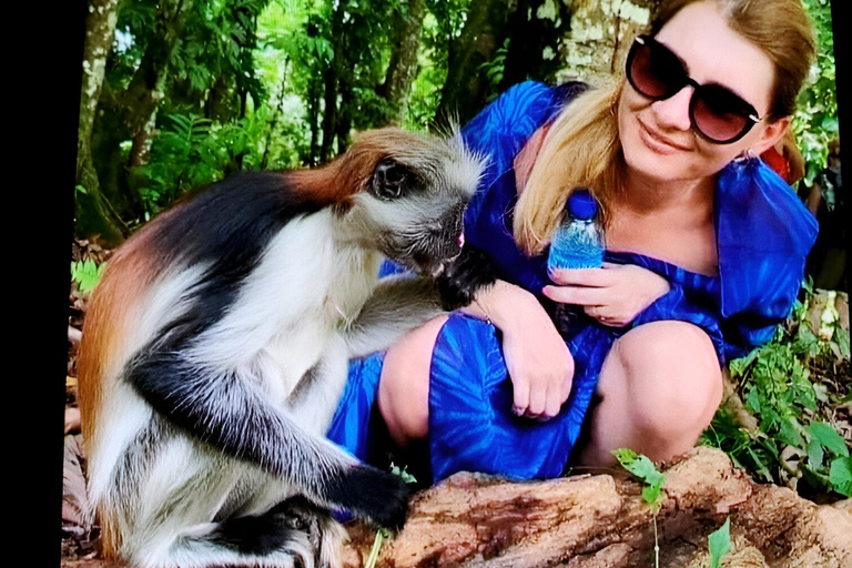 Zanzibar: Stone town tour and Prison Island