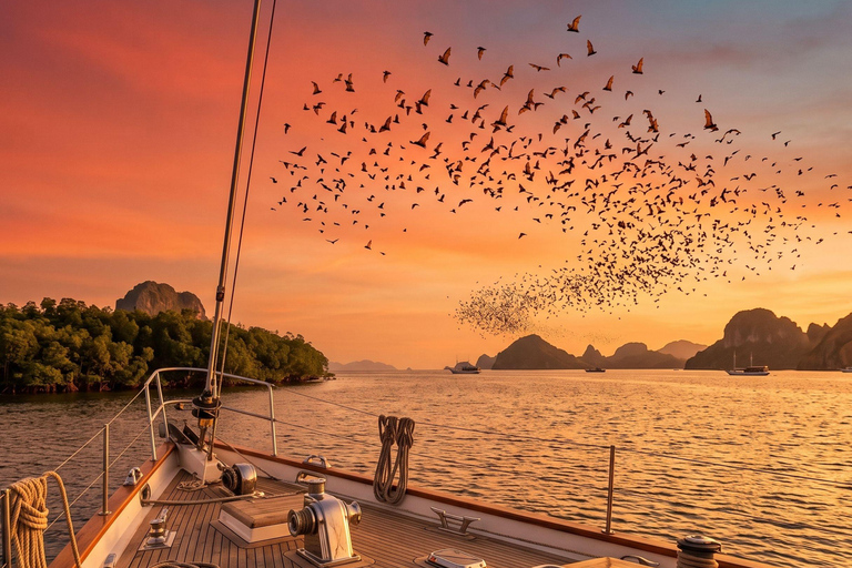 Labuan Bajo: Luxury Sunset Speedboat, Small Group + Snorkel Luxury Sunset Speedboat Tour : Direct Reporting