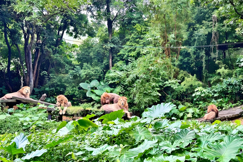 Guangzhou: Chimelong Wildlife & Paradise 2-Day Combo Ticket