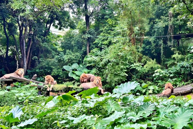 Guangzhou: Chimelong Wildlife & Paradise 2-Day Combo Ticket