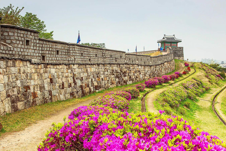 Suwon: Hwaseong, Starfield Library, and Hangnidan-gil Tour