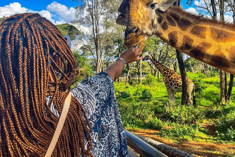 Nairobi: Giraffe Center Day Trip