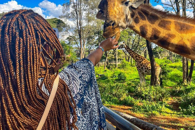 Nairobi: Giraffe Center Day Trip