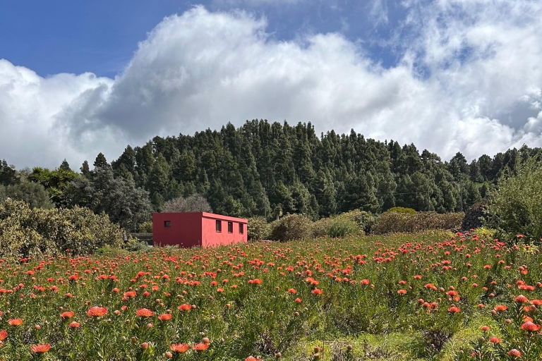 La Palma : Bezoek aan een ecologische boerderij met dieren & proeverij