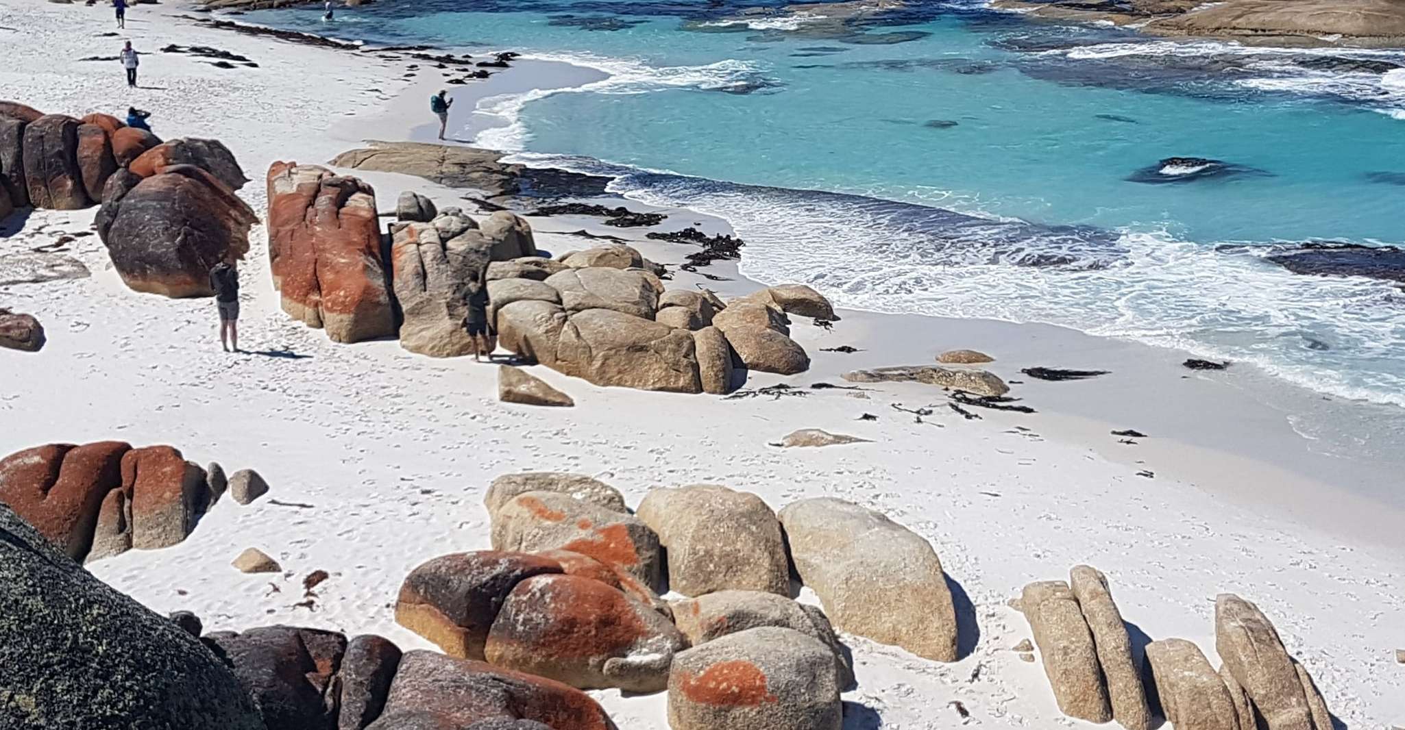 Hobart, 4 Tage Wilde Tasmanien-Tour - Hizvo