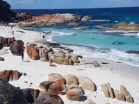 Hobart, 4 giorni Wild Tasmania Tour - Hizvo