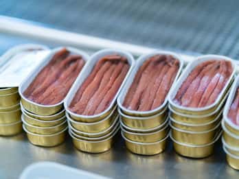 Visit the factory of the Best Anchovies, Santoña, personalized in Spanish.