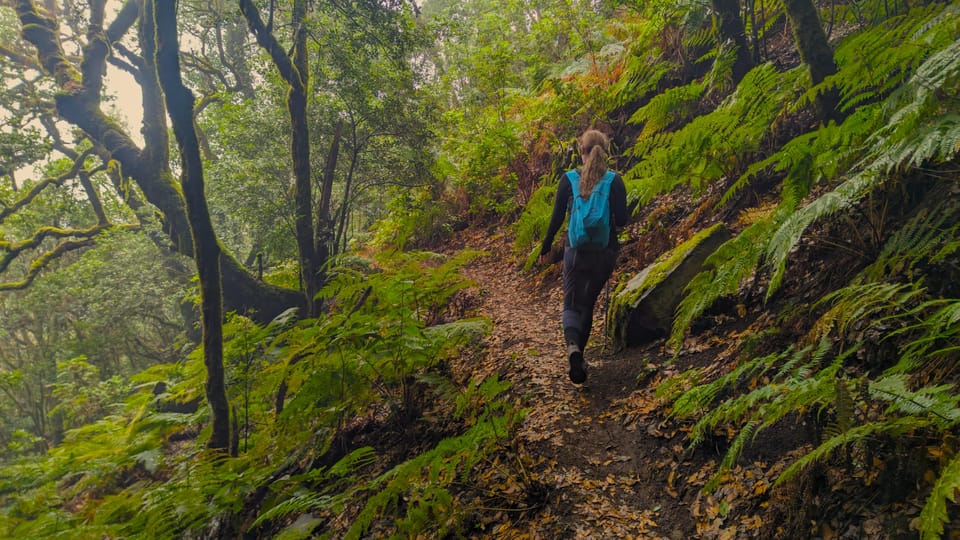 Teneriffa: Wanderung oberhalb von Masca im Zauberwald mit Abholung