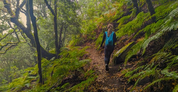 Tenerife: Hike Above Masca in Enchanted Forest with Pick-up
