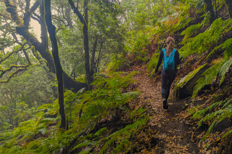 Tenerife: Hike Above Masca in Enchanted Forest with Pick-up