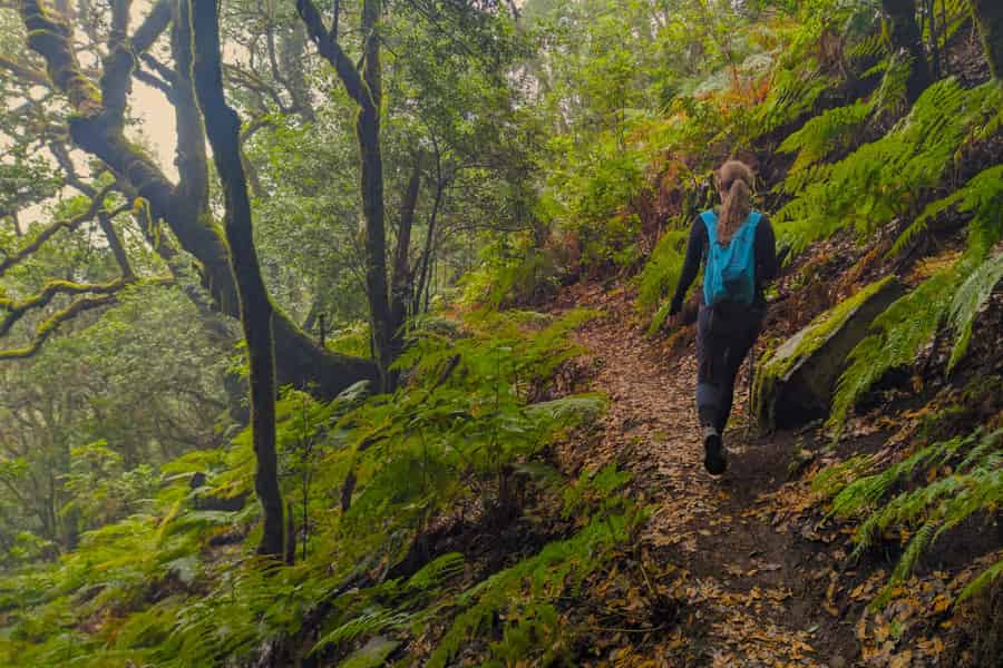 Teneriffa: Wanderung oberhalb von Masca im Zauberwald mit Abholung. Foto: GetYourGuide Teneriffa: Wanderung oberhalb von Masca im Zauberwald mit Abholung. Foto: GetYourGuide