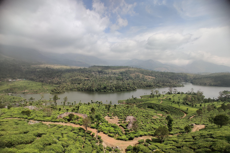 COLLINE E BACKWATERS DEL KERALA - 5 NOTTI / 6 GIORNI