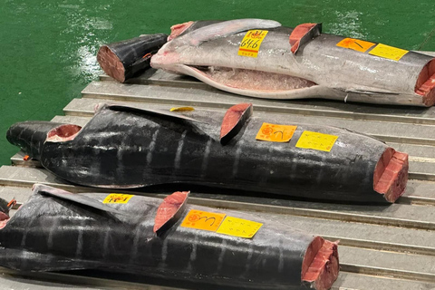 Tokyo: Toyosu Tuna Auction+Seafood Breakfast/Tsukiji Stroll Tuna Auction & Seafood Breakfast (with Meal)