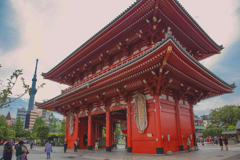 Tokyo: Private Luxury Tokyo City Tour With Driver & Guide Tokyo Private City Tour