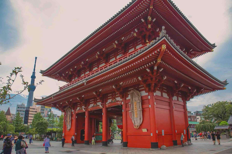 Tokyo: Private Luxury Tokyo City Tour With Driver & Guide Tokyo Private City Tour