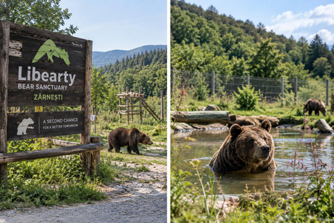 Bucharest: Dracula Castle, Bear Sanctuary & Medieval Brasov Entrance tickets: Dracula, Bear Sanctuary and Brasov