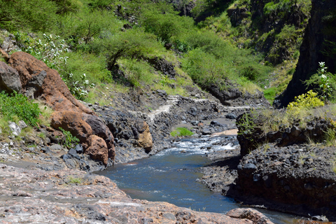 Arusha: Lake Natron Day Trip (Lake Walk &amp; Waterfall Hike)