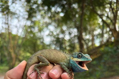 Santuario de My Son y Senderismo de Montaña - PeregrinaciónMi hijo Santuario Viaje de madrugada