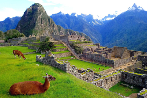 Cusco: Machupicchu DIA INTEGRAL