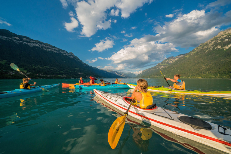 Zurich: Grindelwald, Lauterbrunnen & Interlaken Day Trip Private Tour – Entire Van for Your Group