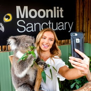 From Melbourne: Phillip Island Penguin Parade & Wildlife Tour