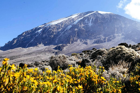 Beste Kilimanjaro dagwandeling - Machame Route - Zara Tours