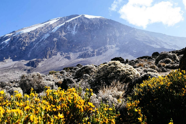 Beste Kilimanjaro dagwandeling - Machame Route - Zara Tours