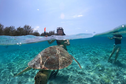 Excursión a las Islas Gili : Gili Trawangan, Meno y Aire