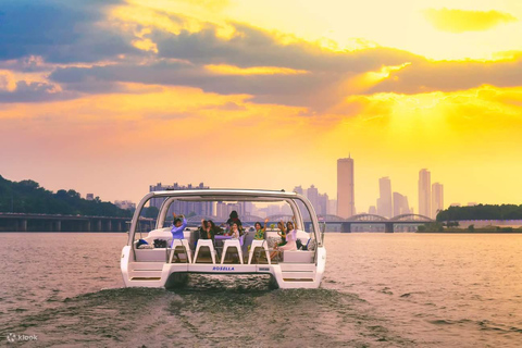 Seoul: Han River Yacht Cruise, Seoul Forest, Private Tour