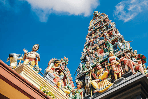 Singapore: Tour a piedi dei tesori nascosti di Chinatown con spuntinoPartecipa al gruppo